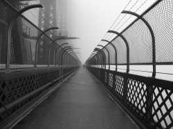 Sydney Harbour Bridge In Fog