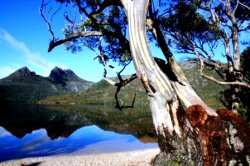 Cradle On Dove Lake