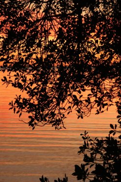 Sunset On The Bay