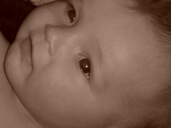 Innocence