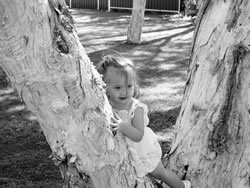 Paperbark Heroine
