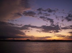 Noosa Skies