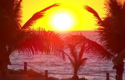 Sunset  - Cable Beach