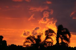 Sunset In Noanda