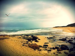 River Meets The Ocean