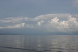 Reflected Blue
