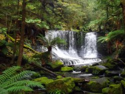 Waterfall At Mt Feild