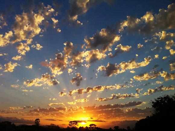 His Glory