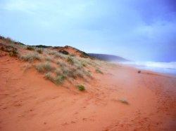 Windswept Waitpinga Beach