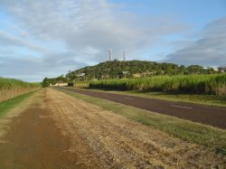 Cane Fields And Hummock Bundaberg