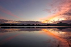 A New Day Is Born