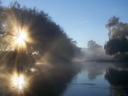 Misty Mornin