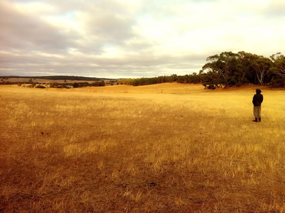 'farmers Delight'