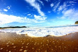 Calm Sea Shores