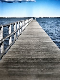 Jetty 
