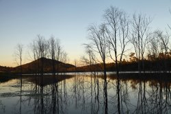 Reflectiions