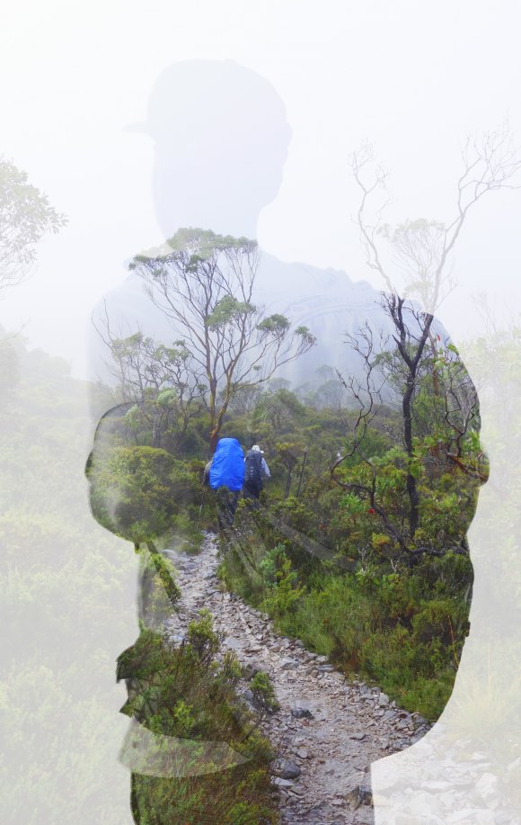 Foggy Moring On Overland Track