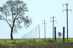 Powerline Persepctive