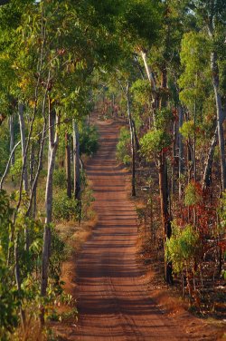 Outback Road