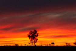 Blazzing Skys