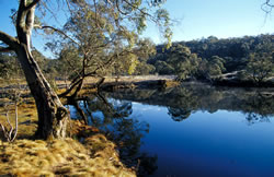 Barrington Billabong