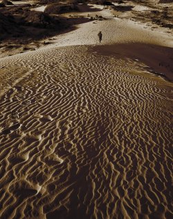 Rippled Sands
