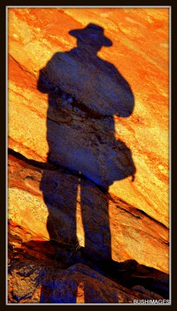 The Traveler