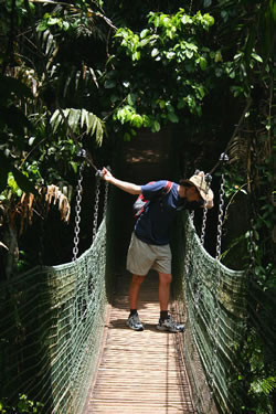 Suspension Bridge