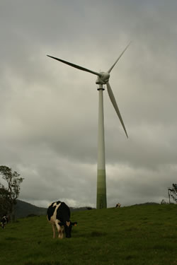 Windfarm
