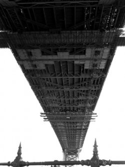 Under The Bridge