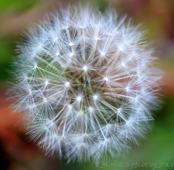 Enjoy The Small Treasures Of Nature.