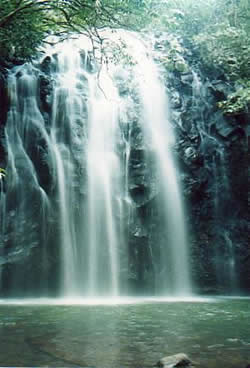 Magic Water