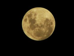 The Moon