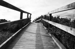 Boardwalk