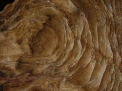 Rock