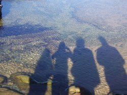 Shadows