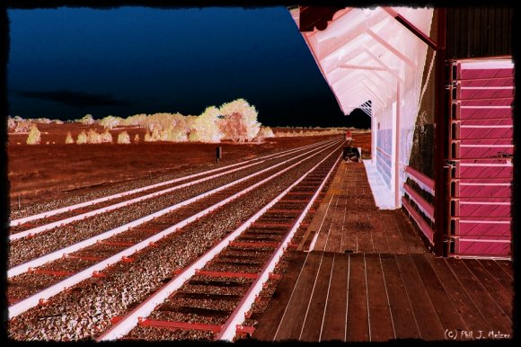 Bungendore Goods Shed