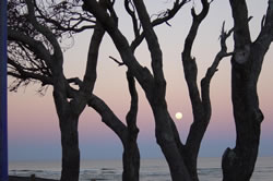 Dusk At Caloundra
