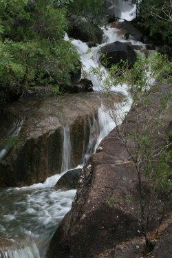 Carrington Falls, Herberton