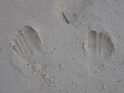 Sandy Story