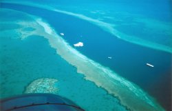 Great Barrier Reef (aerial)