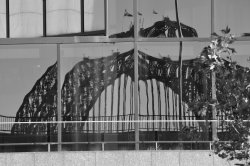 Harbour Bridge