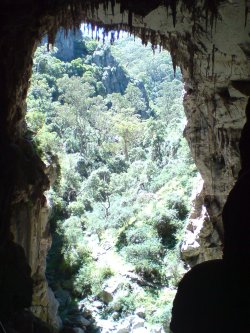 The View From A Cave