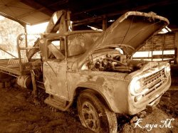 The Old Farm Truck Over The Fence