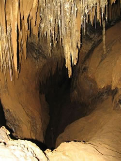 Hastings Caves
