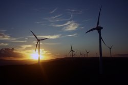 Albany Wind Farm At Sunset