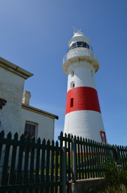 Lighthouse At Low Head