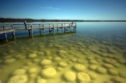 Lake Clifton Wa