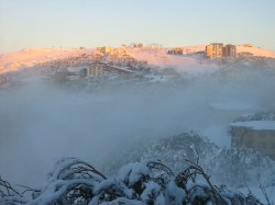 Morning Rise