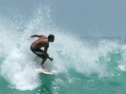 Surf